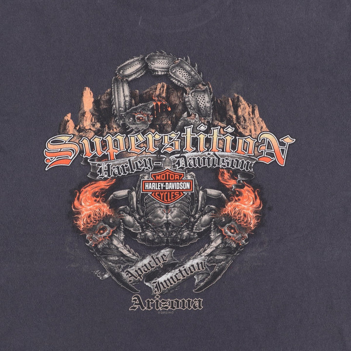 Harley-Davidson Skull Pattern Motorcycle Bike T-shirt Men's XL unclear black type Vintage Second Hand
