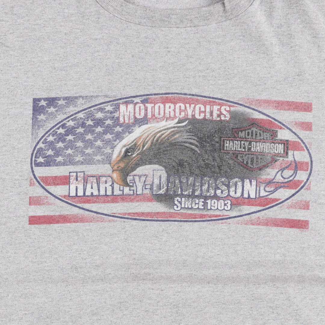 Harley-Davidson HOLOUBEK Eagle Pattern American Flag Motorcycle T-Shirt, Men's XXL (approx.) unclear gray type Vintage Second Hand