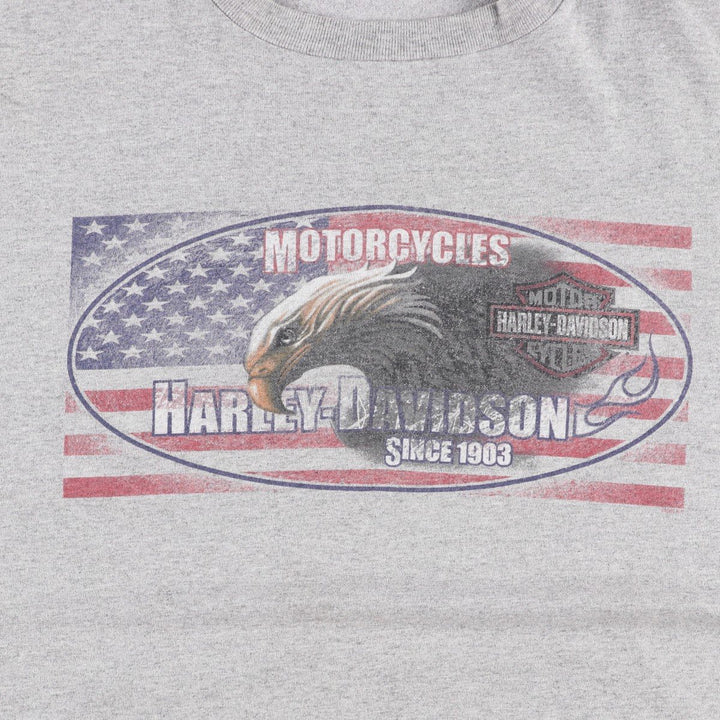 Harley-Davidson HOLOUBEK Eagle Pattern American Flag Motorcycle T-Shirt, Men's XXL (approx.) unclear gray type Vintage Second Hand