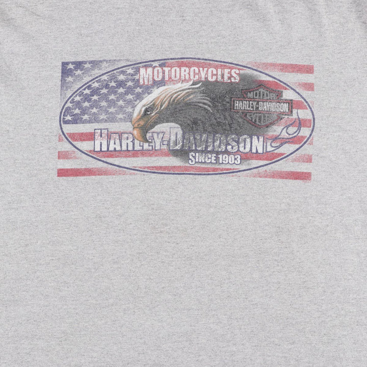 Harley-Davidson HOLOUBEK Eagle Pattern American Flag Motorcycle T-Shirt, Men's XXL (approx.) unclear gray type Vintage Second Hand