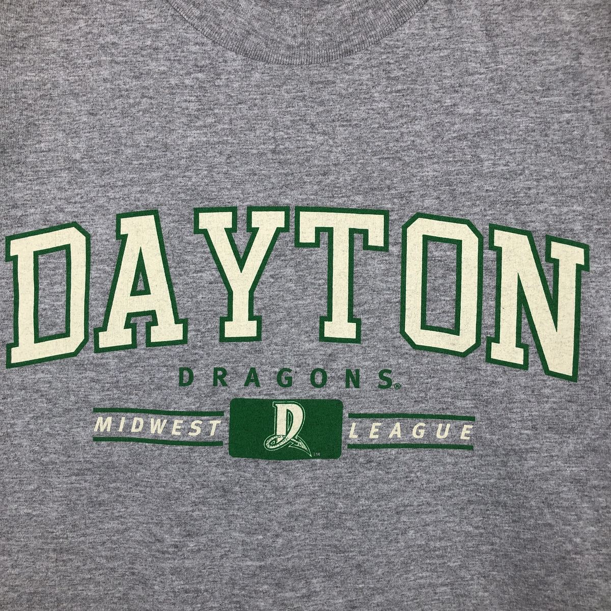 ALSTYLE Dayton Dragons Long-Sleeve T-Shirt (Men's XL equivalent) cotton gray type Vintage Second Hand