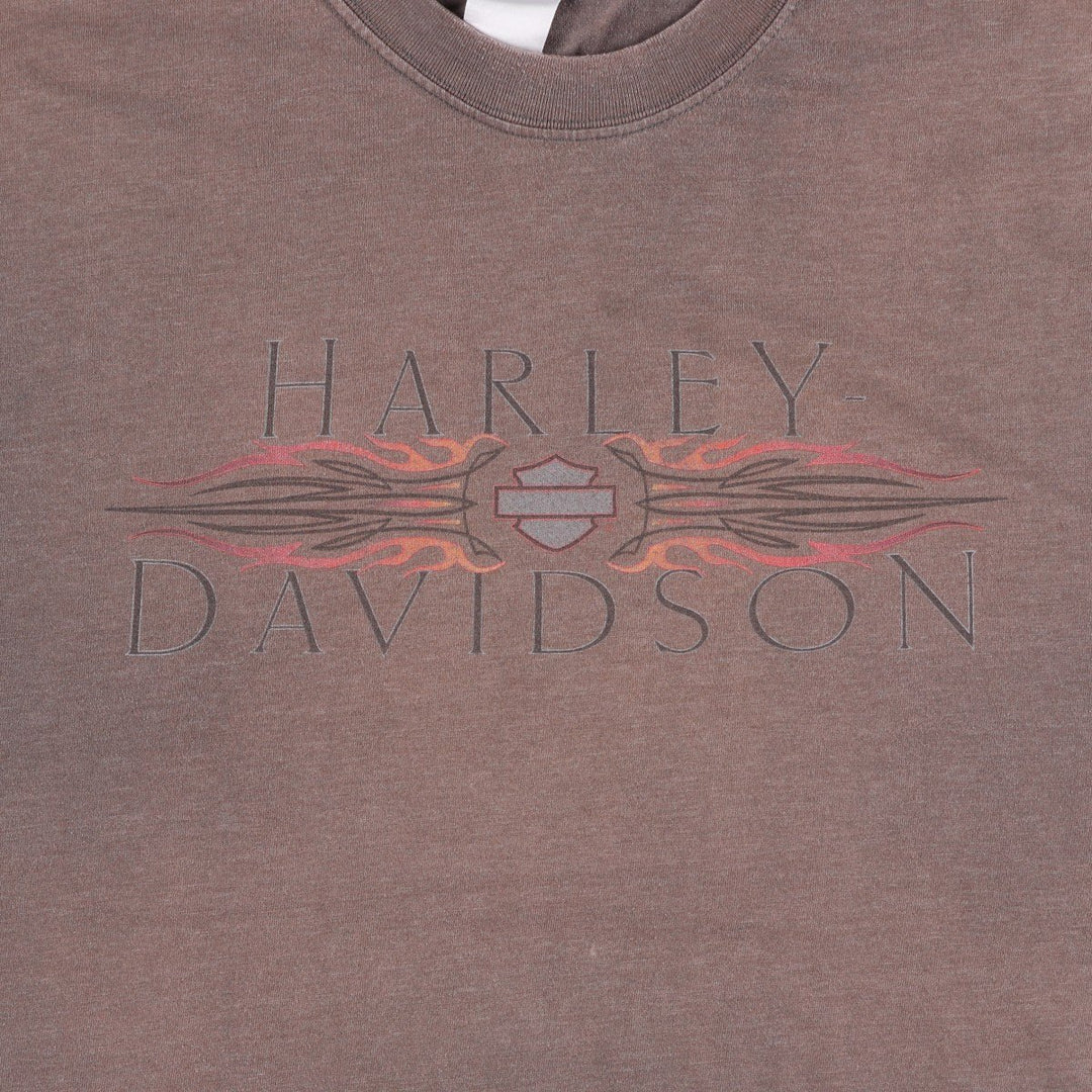 Harley-Davidson Hanes BEEFY-T Fire Pattern Motorcycle T-Shirt, Men's XXL (approx.) unclear beige type brown Vintage Second Hand