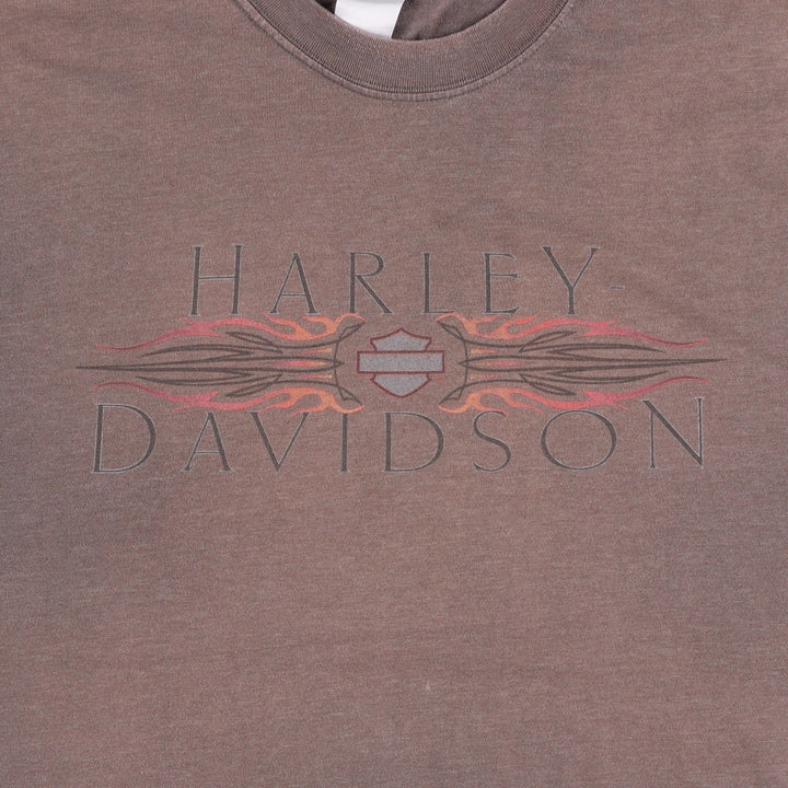 Harley-Davidson Hanes BEEFY-T Fire Pattern Motorcycle T-Shirt, Men's XXL (approx.) unclear beige type brown Vintage Second Hand