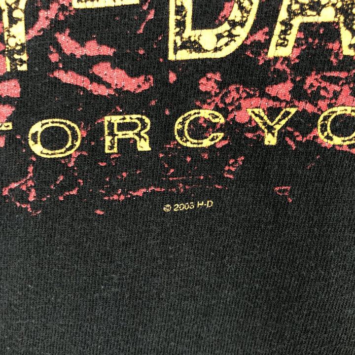 Harley-Davidson Motorcycle Bike T-shirt Made in USA Men's L size cotton black type Vintage Second Hand