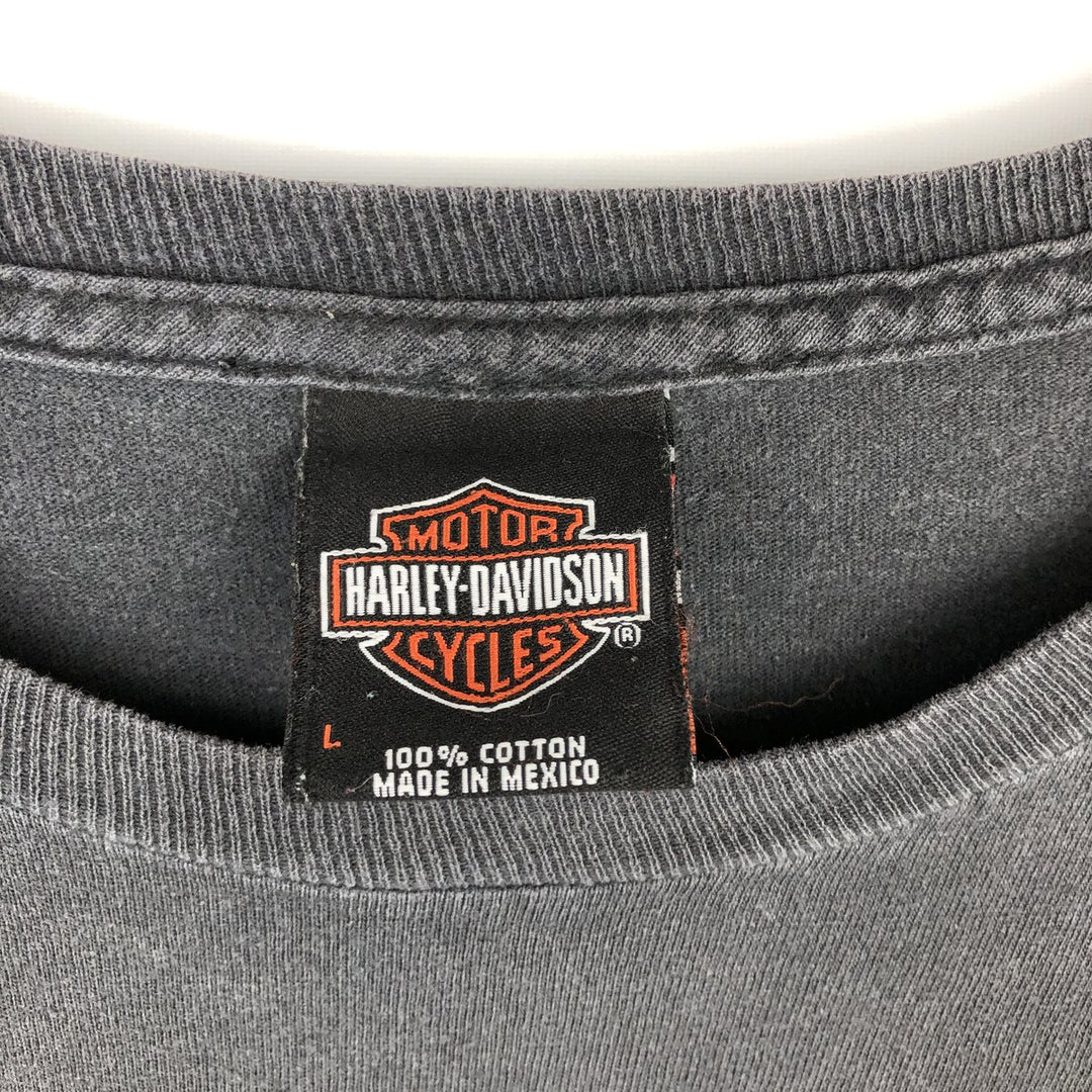 Harley-Davidson Skull Pattern Motorcycle Bike T-shirt Men's L size cotton Charcoal Vintage Second Hand