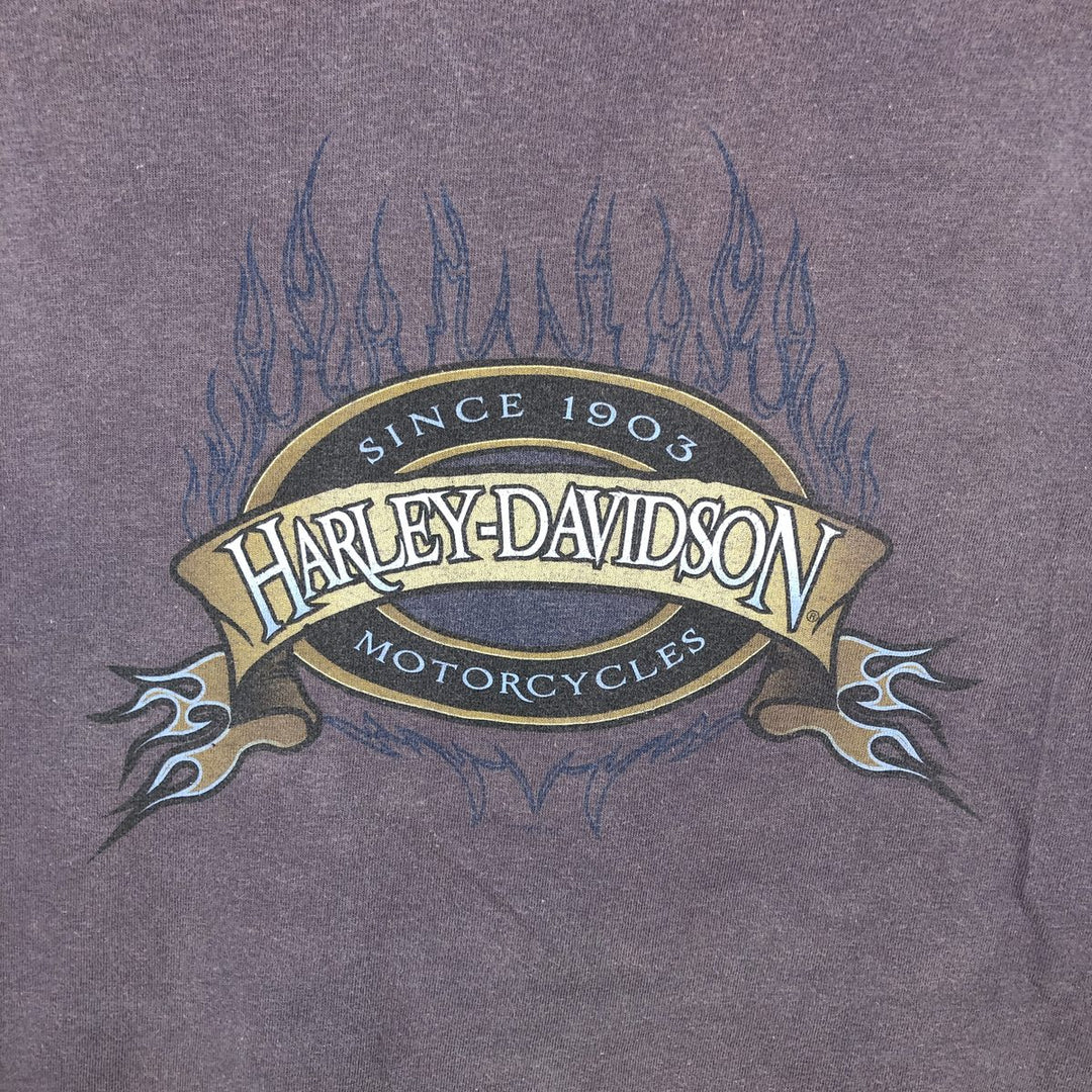 Harley-Davidson Fire Pattern Motorcycle Bike T-Shirt, Made in USA, Men's XL (approx.), Vintage cotton purple type Vintage Second Hand