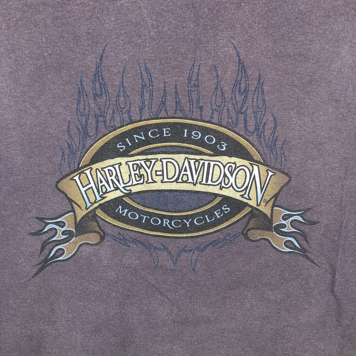 Harley-Davidson Fire Pattern Motorcycle Bike T-Shirt, Made in USA, Men's XL (approx.), Vintage cotton purple type Vintage Second Hand