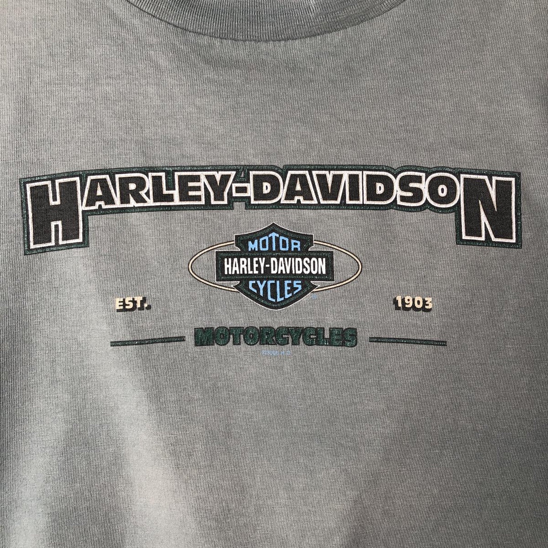 00'S Harley-Davidson Eagle Pattern Motorcycle Bike T-shirt Made in USA Men's XL cotton Blue type light blue Vintage Second Hand