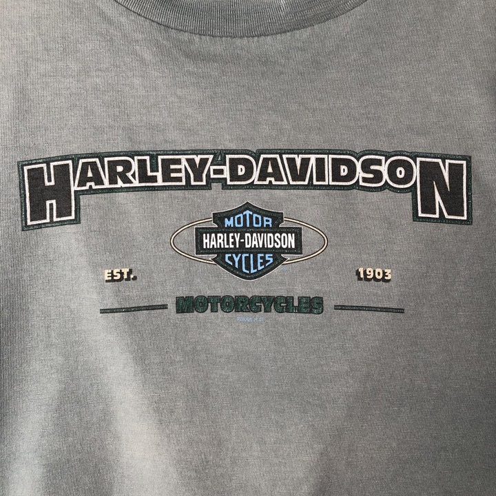 00'S Harley-Davidson Eagle Pattern Motorcycle Bike T-shirt Made in USA Men's XL cotton Blue type light blue Vintage Second Hand