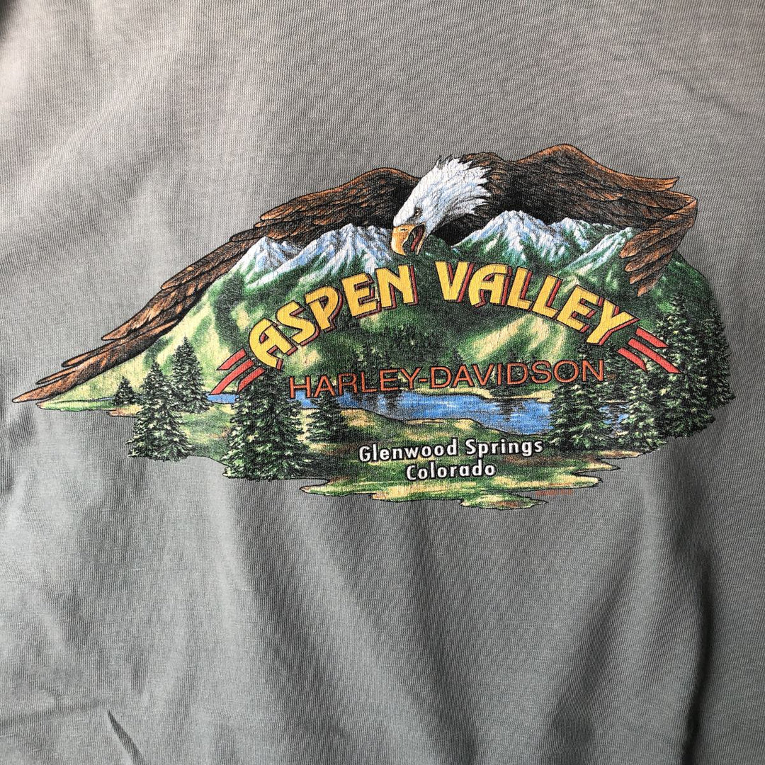 00'S Harley-Davidson Eagle Pattern Motorcycle Bike T-shirt Made in USA Men's XL cotton Blue type light blue Vintage Second Hand