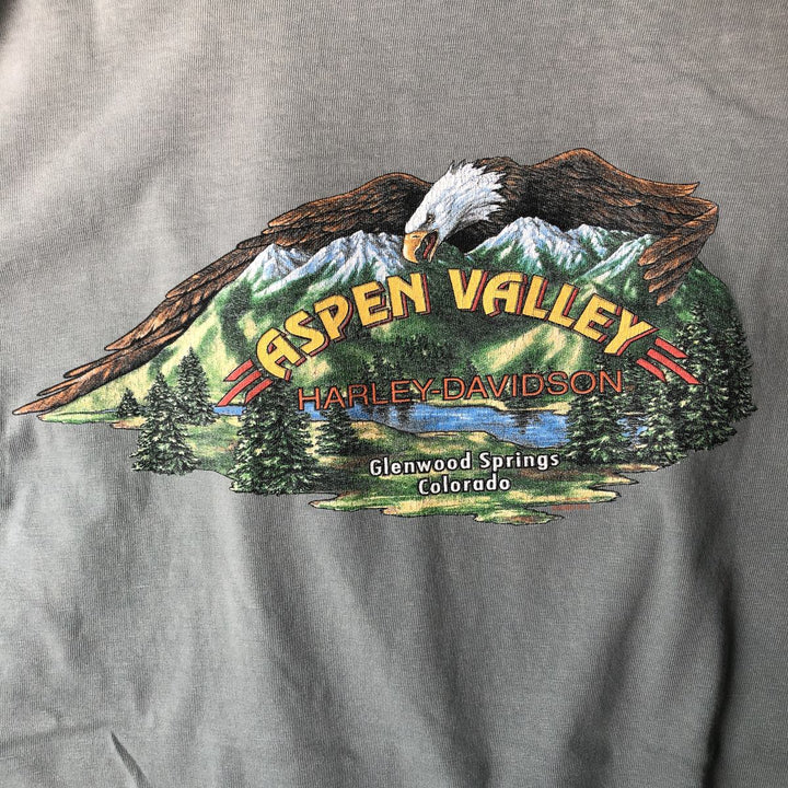 00'S Harley-Davidson Eagle Pattern Motorcycle Bike T-shirt Made in USA Men's XL cotton Blue type light blue Vintage Second Hand