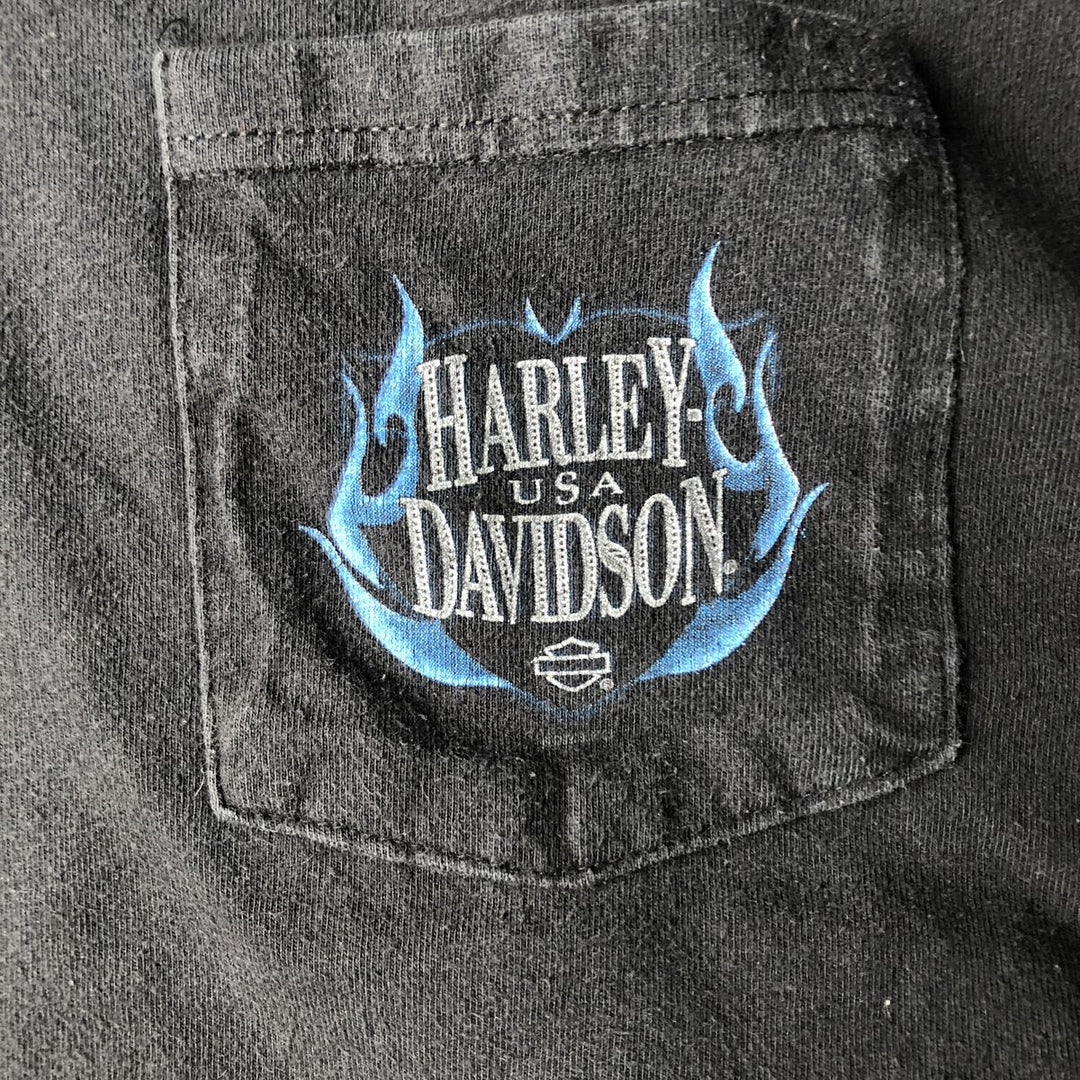 Harley-Davidson Checker Flag Motorcycle T-Shirt, Made in USA, Men's Size XL (approx.) cotton black type Vintage Second Hand