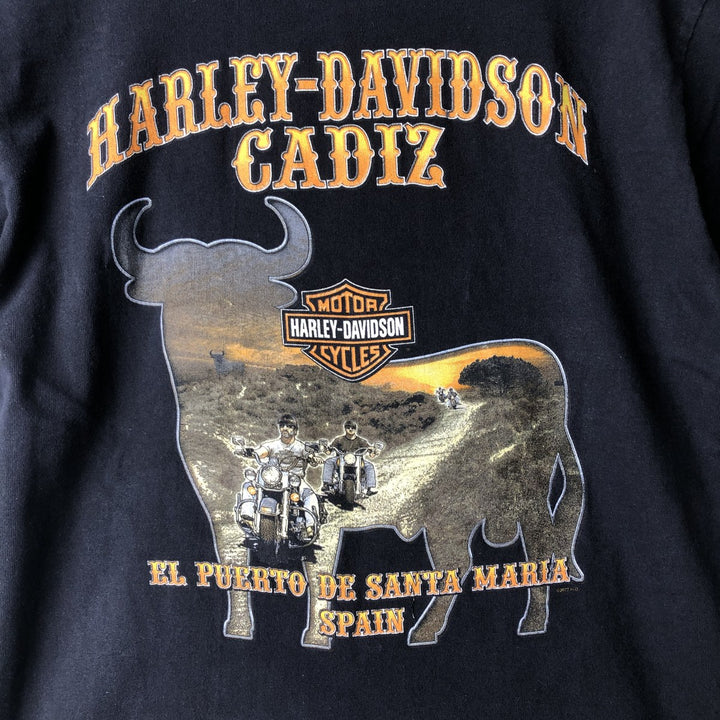 2000'S Harley-Davidson Skull Pattern Fire Pattern Motorcycle T-Shirt, Made in USA, Men's Size M (approx.) cotton black type Vintage Second Hand