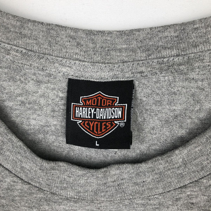 00'S Harley-Davidson Fire Pattern Motorcycle Bike T-Shirt Men's L size unclear gray type Vintage Second Hand