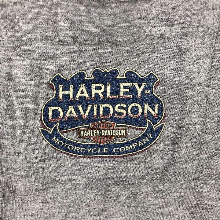 00'S Harley-Davidson Fire Pattern Motorcycle Bike T-Shirt Men's L size unclear gray type Vintage Second Hand