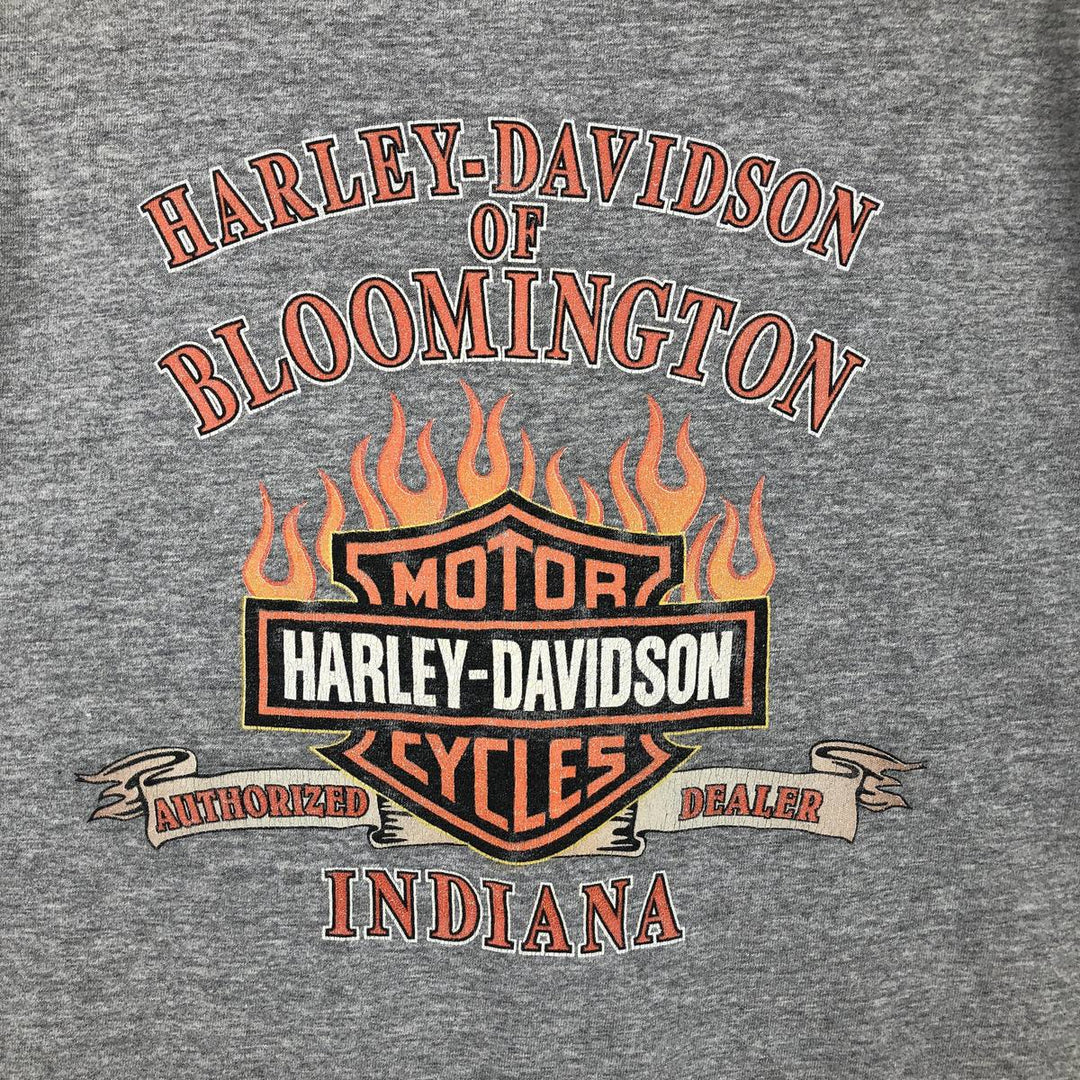 00'S Harley-Davidson Fire Pattern Motorcycle Bike T-Shirt Men's L size unclear gray type Vintage Second Hand