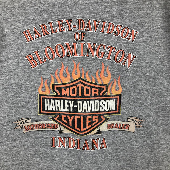 00'S Harley-Davidson Fire Pattern Motorcycle Bike T-Shirt Men's L size unclear gray type Vintage Second Hand