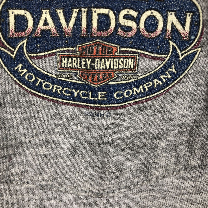 00'S Harley-Davidson Fire Pattern Motorcycle Bike T-Shirt Men's L size unclear gray type Vintage Second Hand