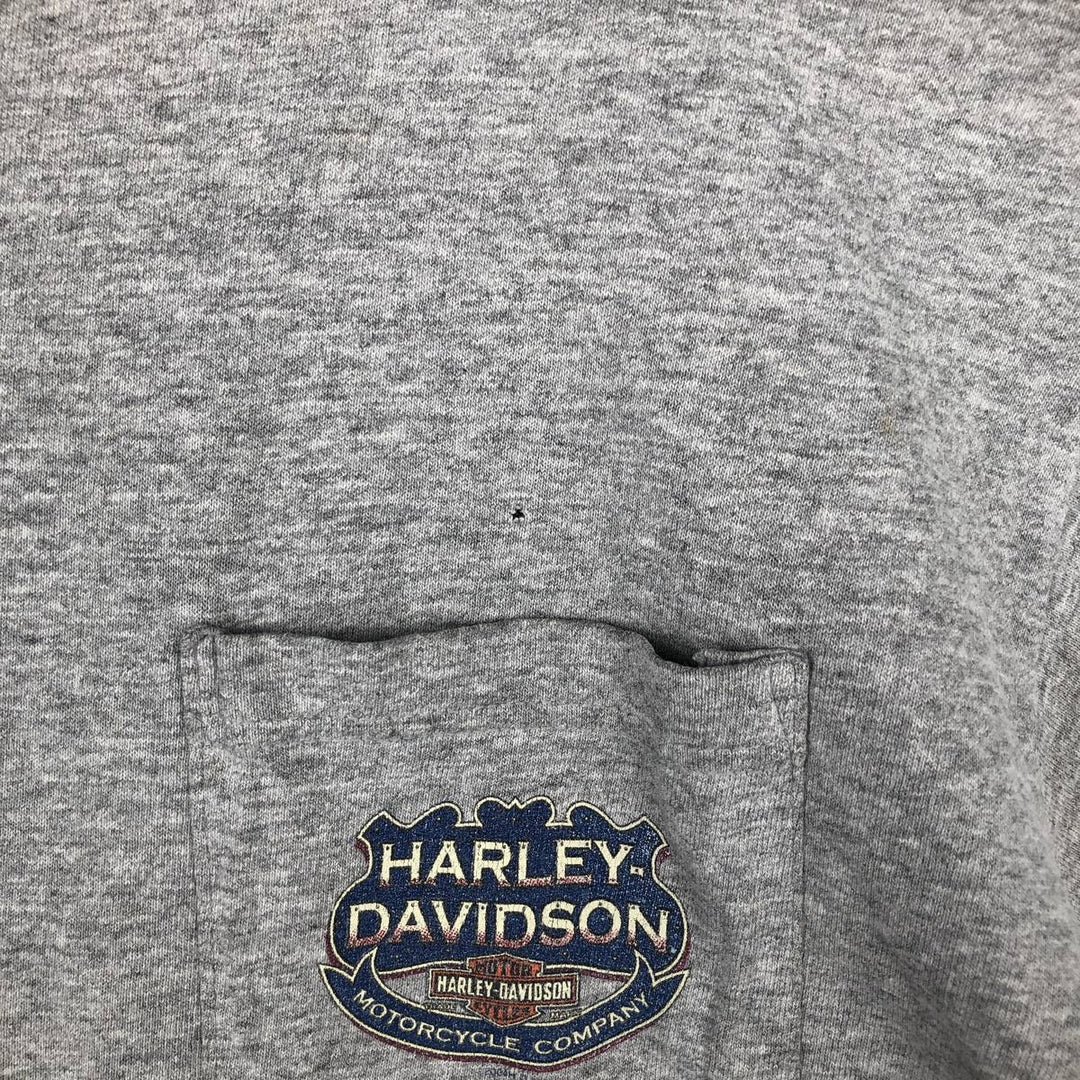 00'S Harley-Davidson Fire Pattern Motorcycle Bike T-Shirt Men's L size unclear gray type Vintage Second Hand