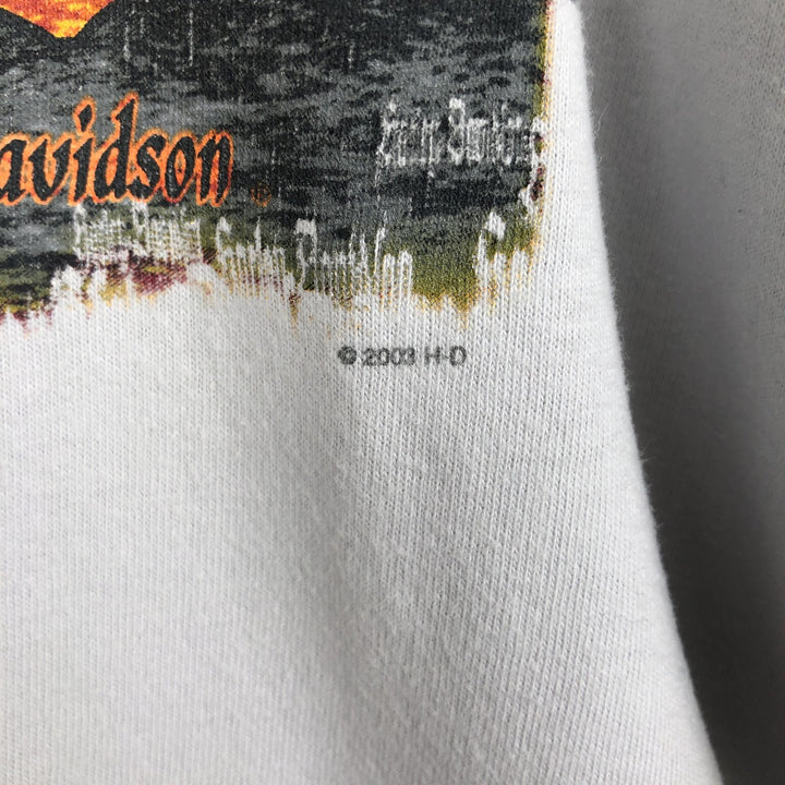 00'S Harley-Davidson Stars and Stripes Motorcycle Bike T-shirt Men's XL cotton Blue type light blue Vintage Second Hand