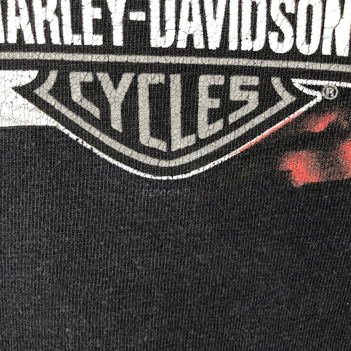 2000'S Harley-Davidson Eagle Pattern/Stars and Stripes Motorcycle T-Shirt, Men's Size XL (approx.) unclear black type Vintage Second Hand