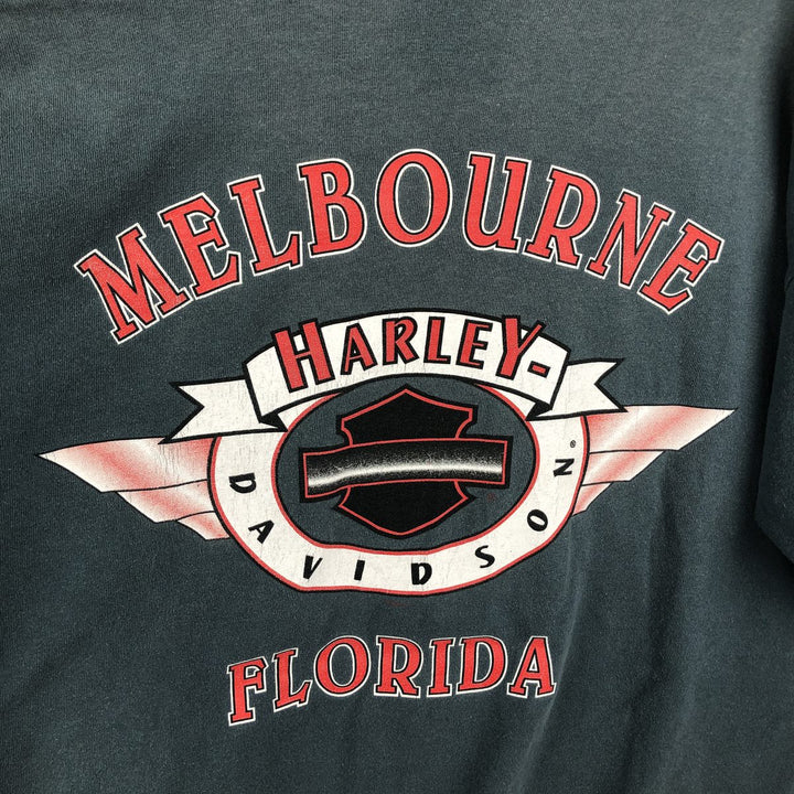 90'S Harley-Davidson American flag pattern motorcycle t-shirt, made in USA, men's size L equivalent, vintage. cotton Blue type light blue Vintage Second Hand