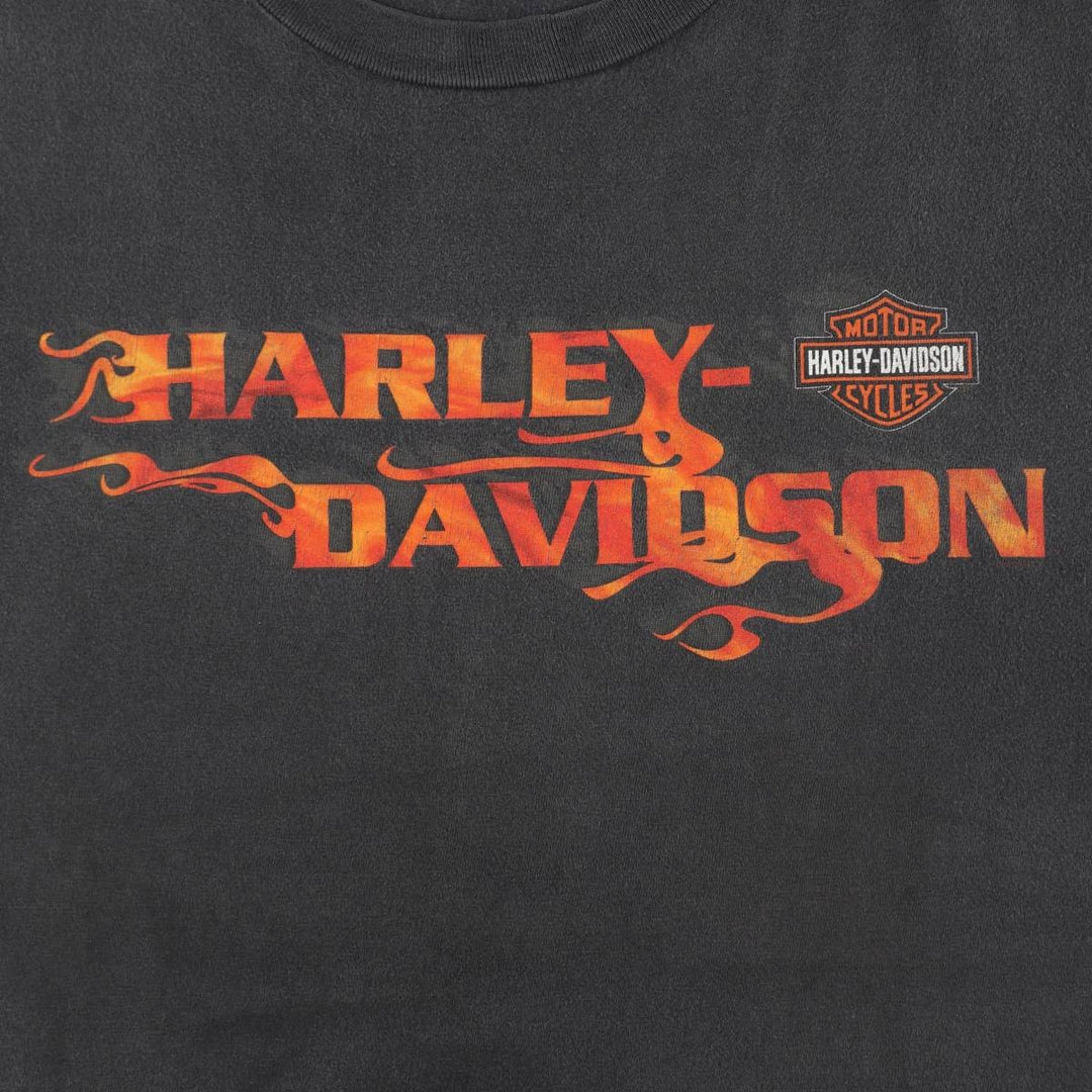 Harley-Davidson Fire Pattern Motorcycle Bike T-Shirt Made in USA Men's XL cotton gray type Vintage Second Hand