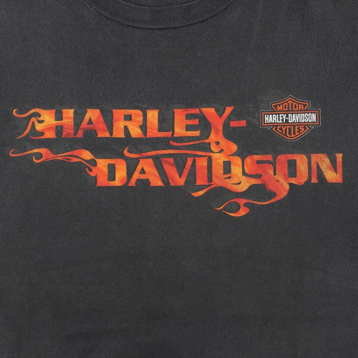 Harley-Davidson Fire Pattern Motorcycle Bike T-Shirt Made in USA Men's XL cotton gray type Vintage Second Hand