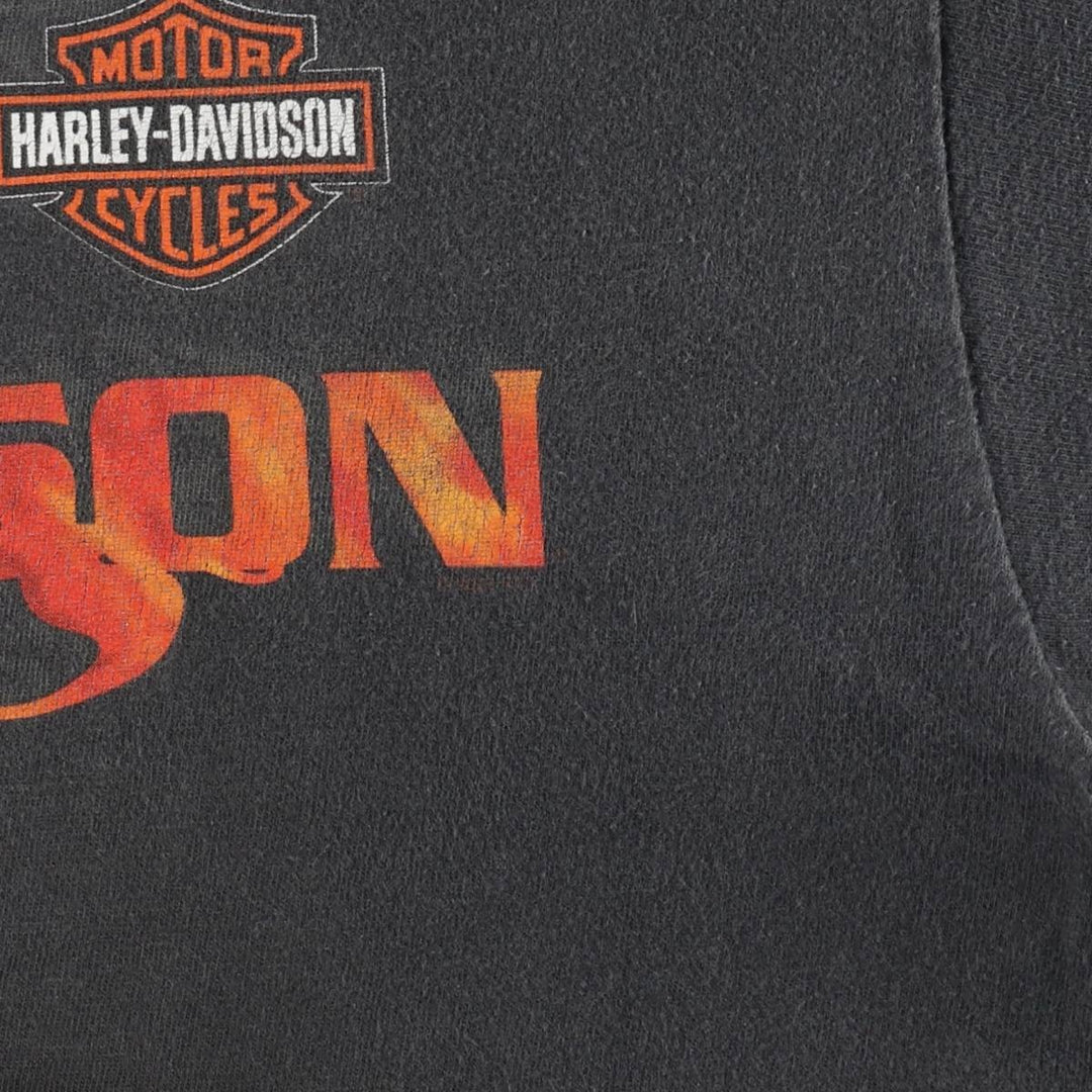 Harley-Davidson Fire Pattern Motorcycle Bike T-Shirt Made in USA Men's XL cotton gray type Vintage Second Hand