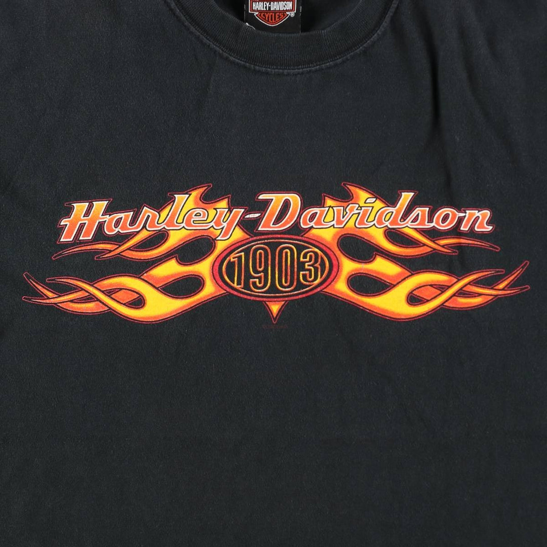 2000'S Harley-Davidson Hanes BEEFY-T Fire Pattern Motorcycle T-Shirt, Made in USA, Men's Size M (approx.) cotton black type Vintage Second Hand