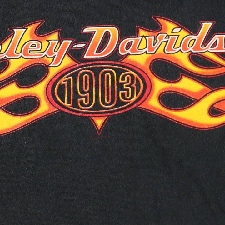 2000'S Harley-Davidson Hanes BEEFY-T Fire Pattern Motorcycle T-Shirt, Made in USA, Men's Size M (approx.) cotton black type Vintage Second Hand