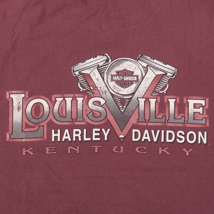 90'S Harley-Davidson Eagle Pattern American Flag Motorcycle T-Shirt, Made in USA, Men's Size L (approx.), Vintage cotton burgundy type Vintage Second Hand