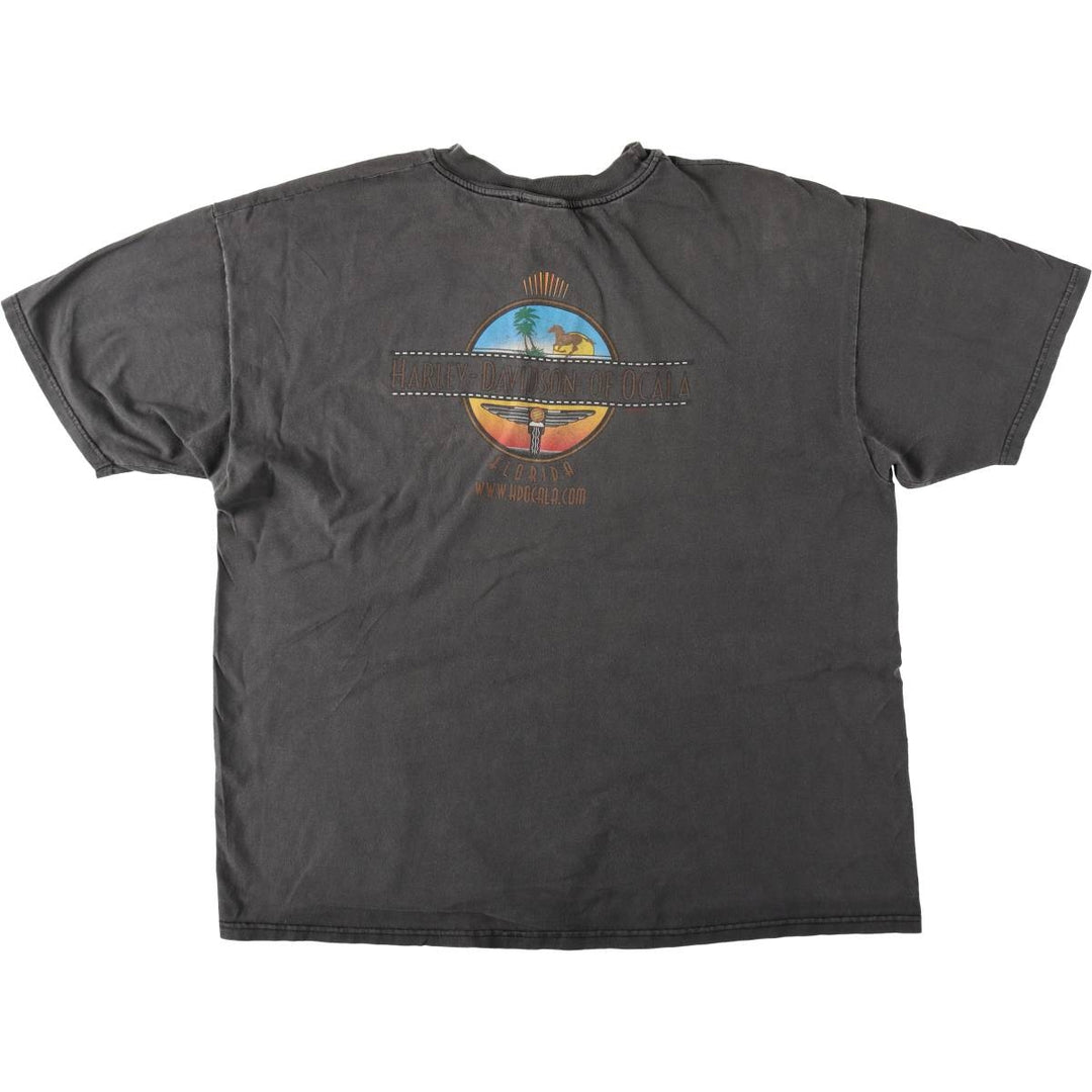 Harley-Davidson BEEFY-T Eagle Pattern Motorcycle T-Shirt, Made in USA, Men's XXL equivalent. cotton black type Vintage Second Hand