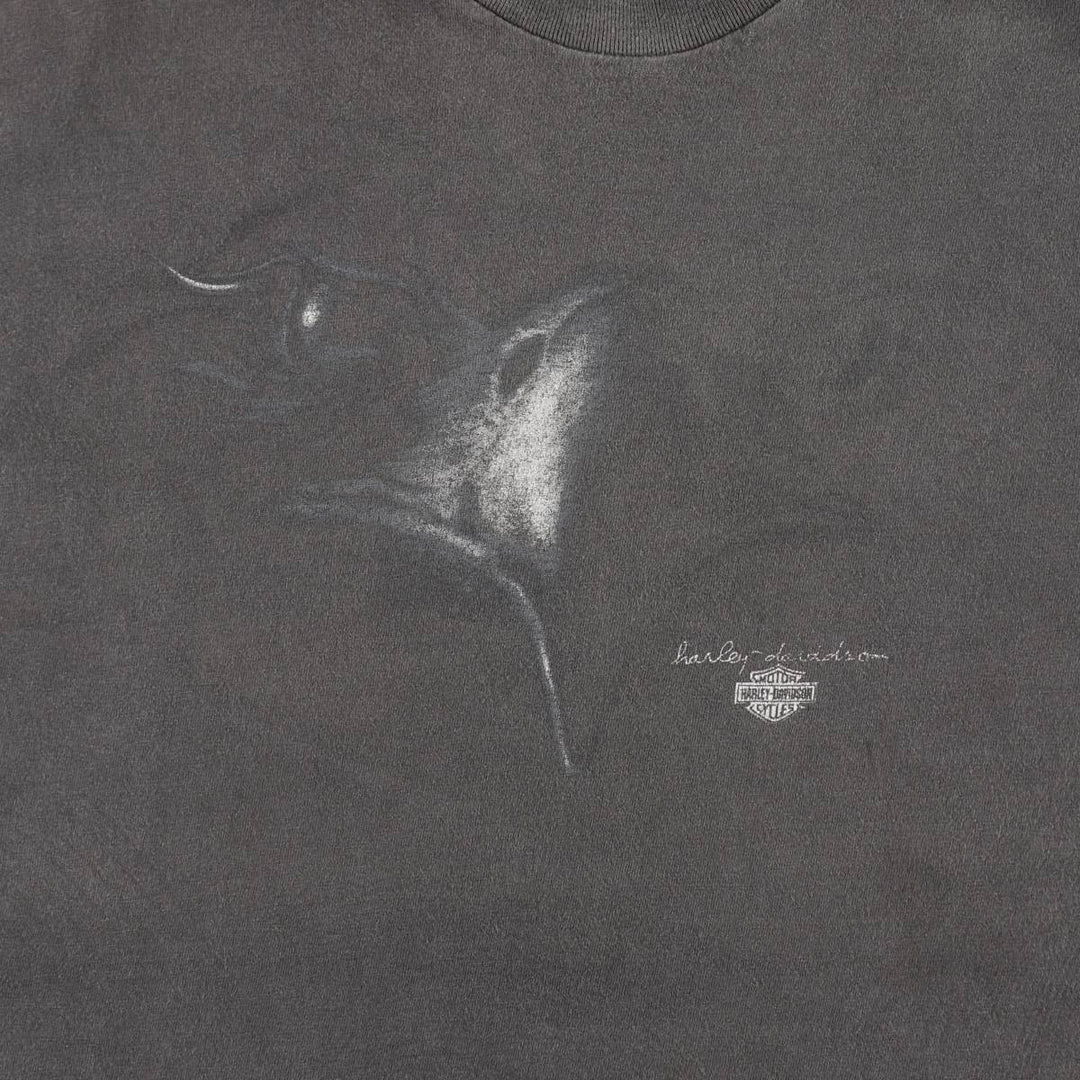 Harley-Davidson BEEFY-T Eagle Pattern Motorcycle T-Shirt, Made in USA, Men's XXL equivalent. cotton black type Vintage Second Hand