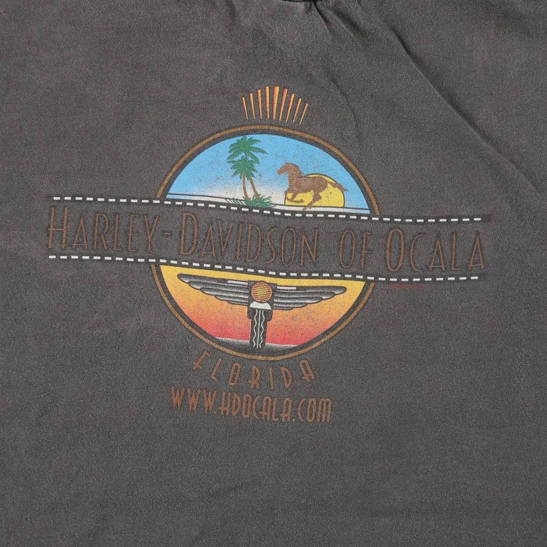 Harley-Davidson BEEFY-T Eagle Pattern Motorcycle T-Shirt, Made in USA, Men's XXL equivalent. cotton black type Vintage Second Hand