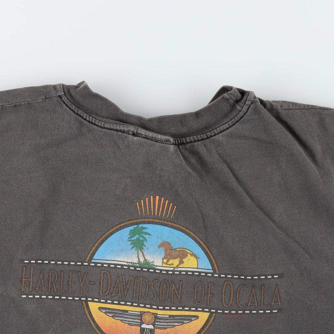 Harley-Davidson BEEFY-T Eagle Pattern Motorcycle T-Shirt, Made in USA, Men's XXL equivalent. cotton black type Vintage Second Hand