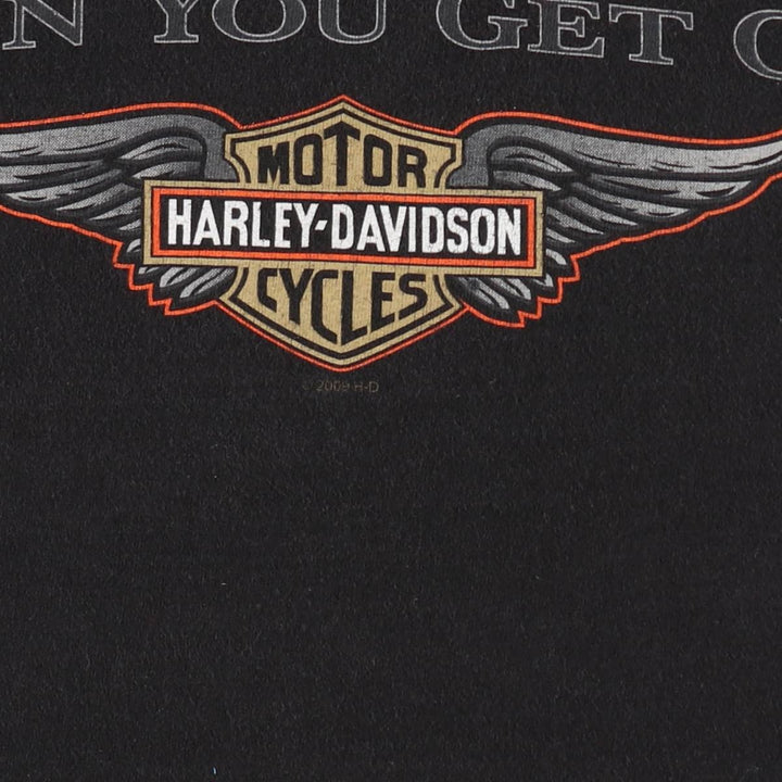 2000'S Harley-Davidson Wing Pin-up Girl Motorcycle T-Shirt, Men's Size XL (approx.) unclear black type Vintage Second Hand