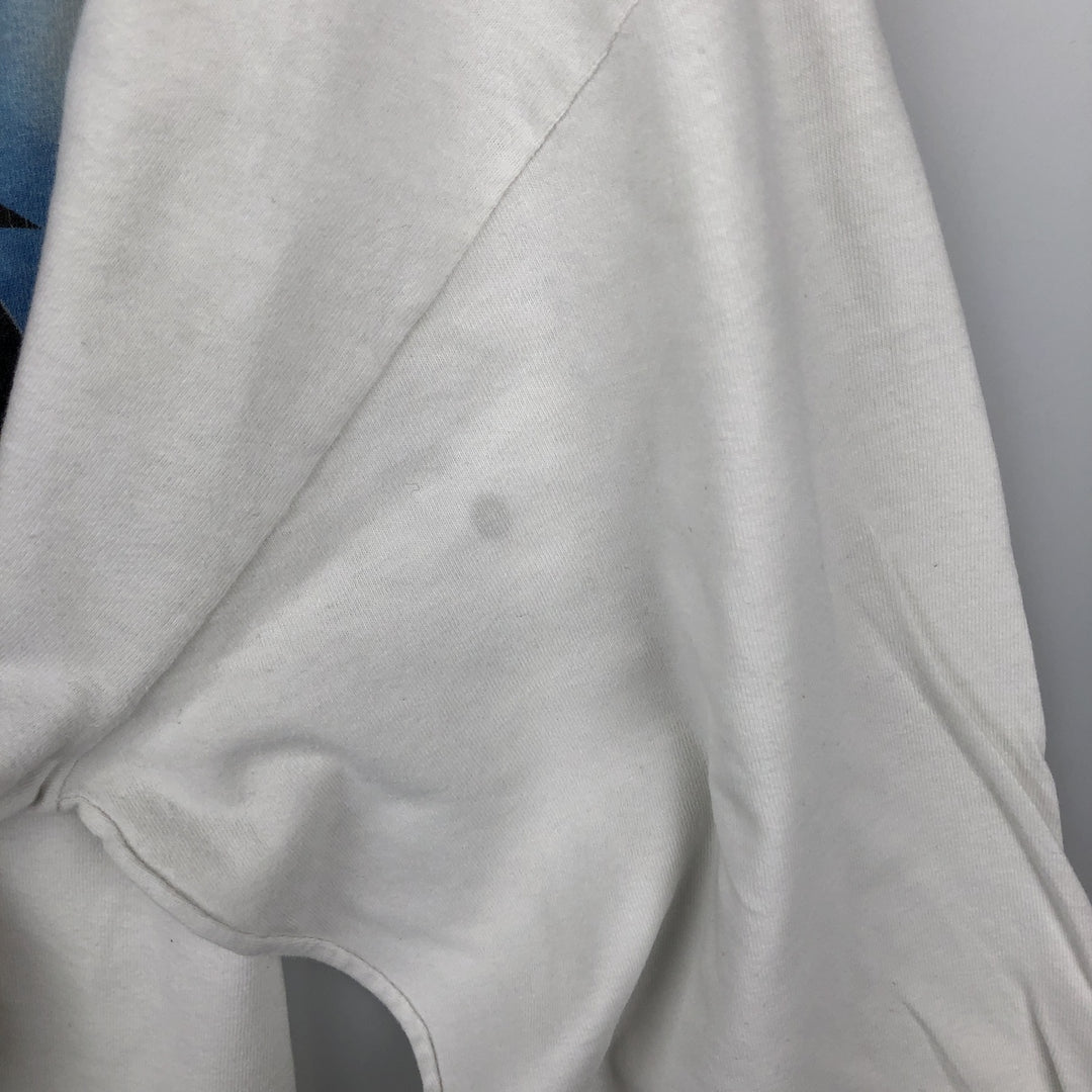 2000'S Hanes BEEFY-T Long Sleeve T-Shirt, Men's Size L cotton white type Vintage Second Hand
