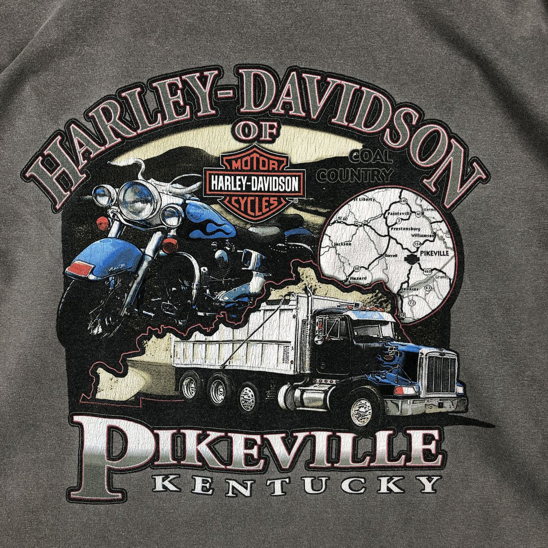 Harley-Davidson Motorcycle Long Sleeve T-Shirt, Men's Size Medium cotton gray type Vintage Second Hand