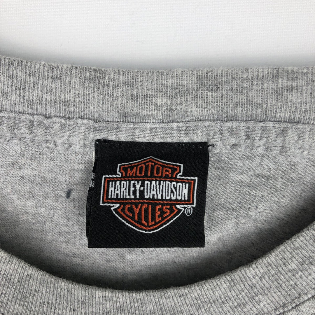 Harley-Davidson Fire Pattern Long T-Shirt, Men's XL Size cotton gray type Vintage Second Hand