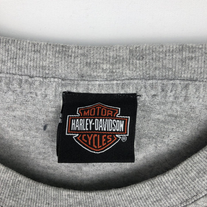 Harley-Davidson Fire Pattern Long T-Shirt, Men's XL Size cotton gray type Vintage Second Hand