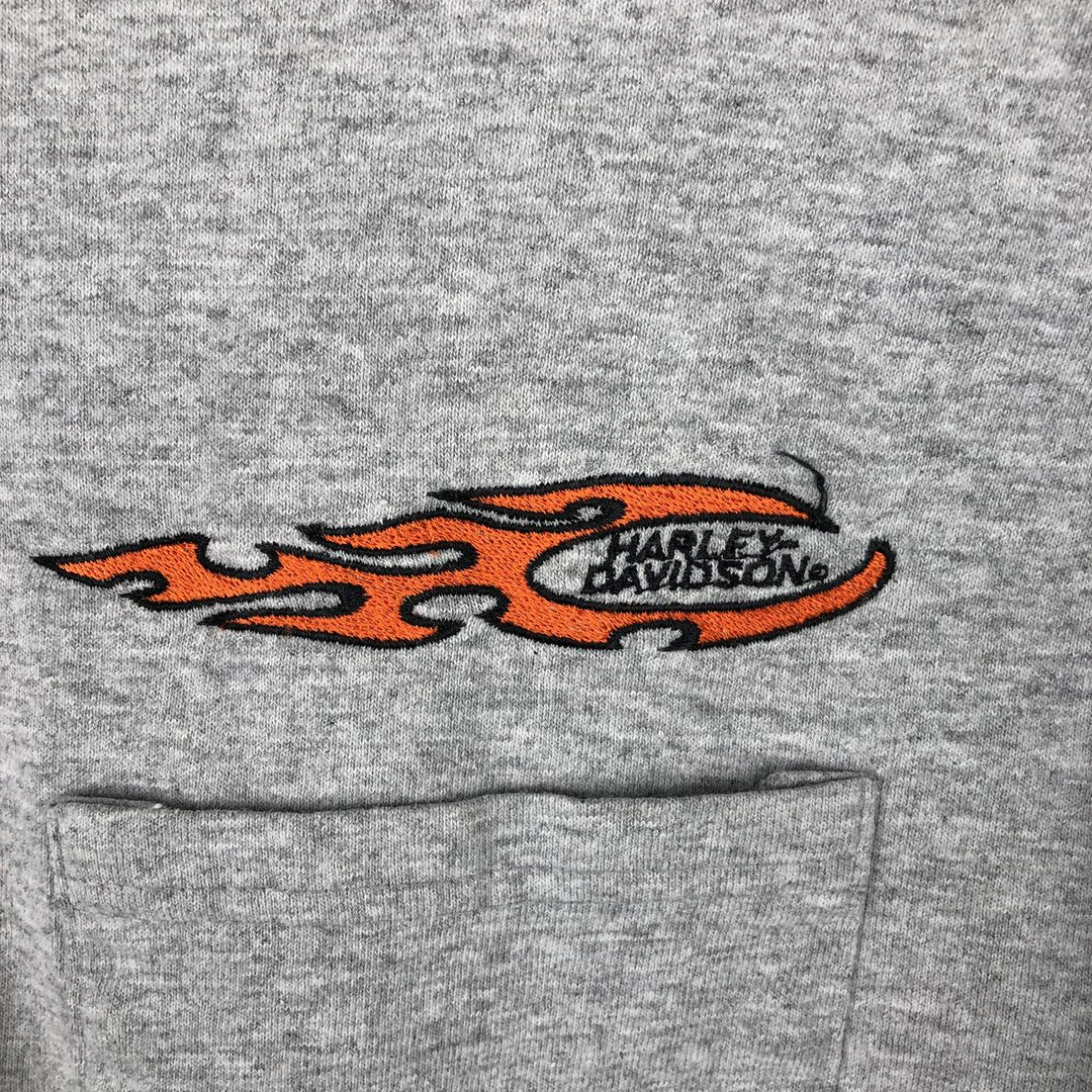 Harley-Davidson Fire Pattern Long T-Shirt, Men's XL Size cotton gray type Vintage Second Hand