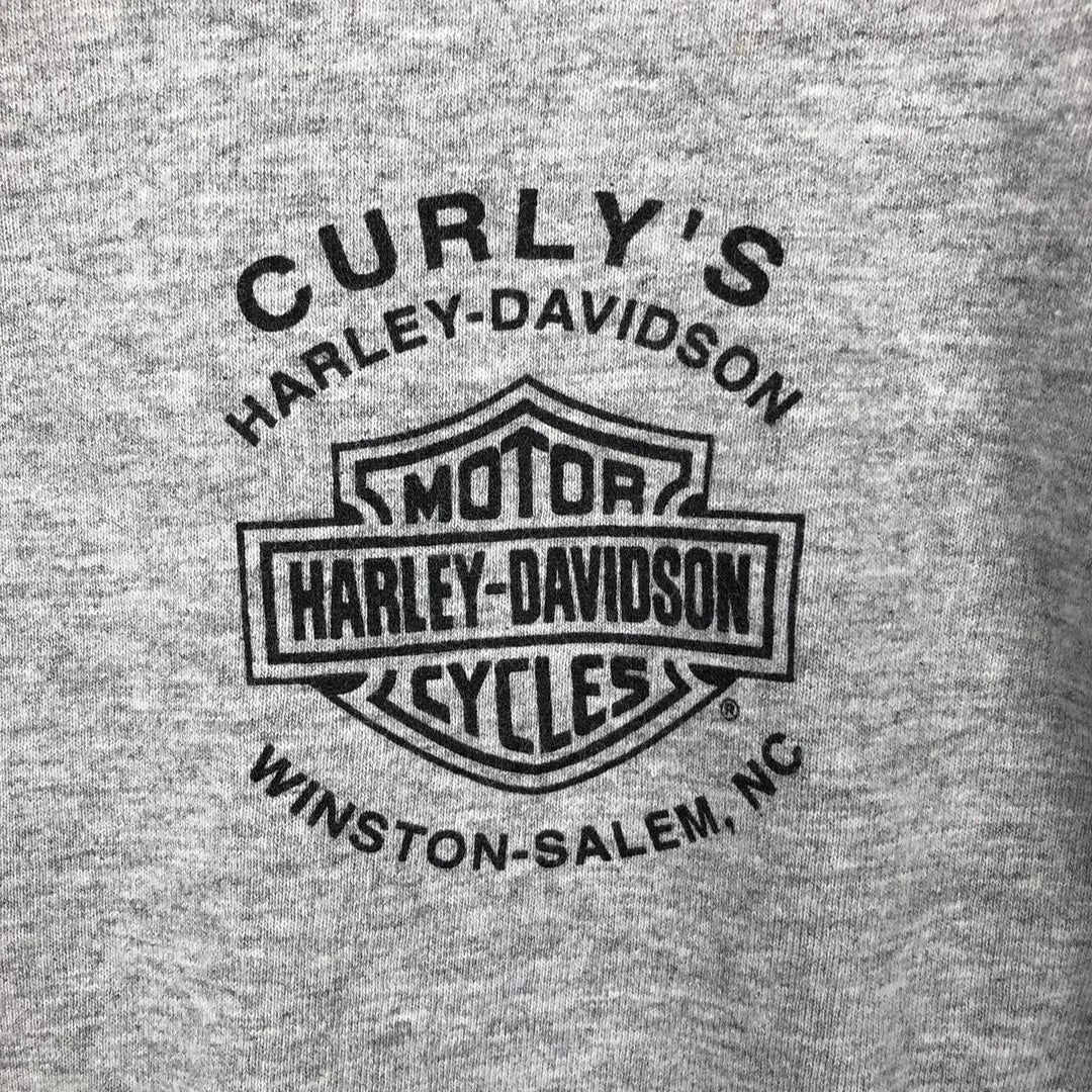 Harley-Davidson Fire Pattern Long T-Shirt, Men's XL Size cotton gray type Vintage Second Hand