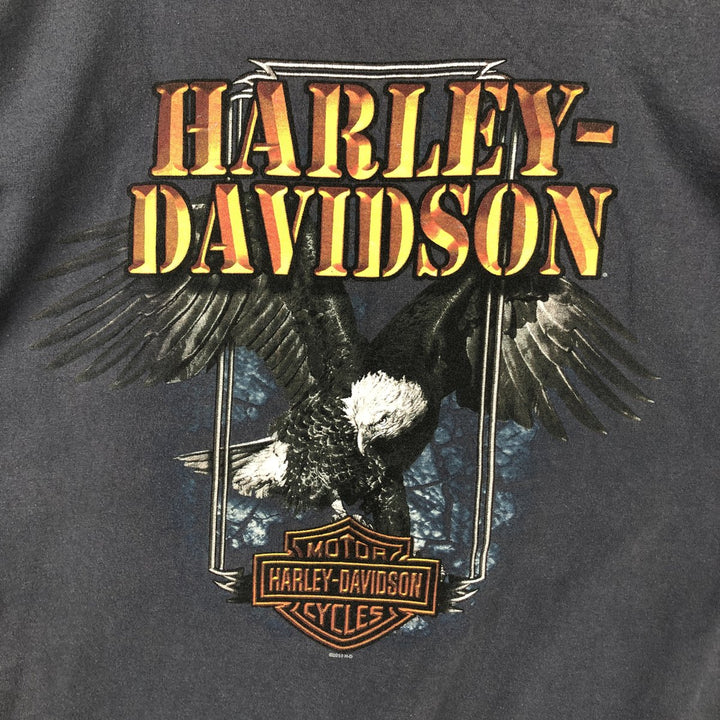 Harley-Davidson Eagle Pattern Long-Sleeve T-Shirt, Made in USA, Men's XXL (approx.) cotton gray type Vintage Second Hand