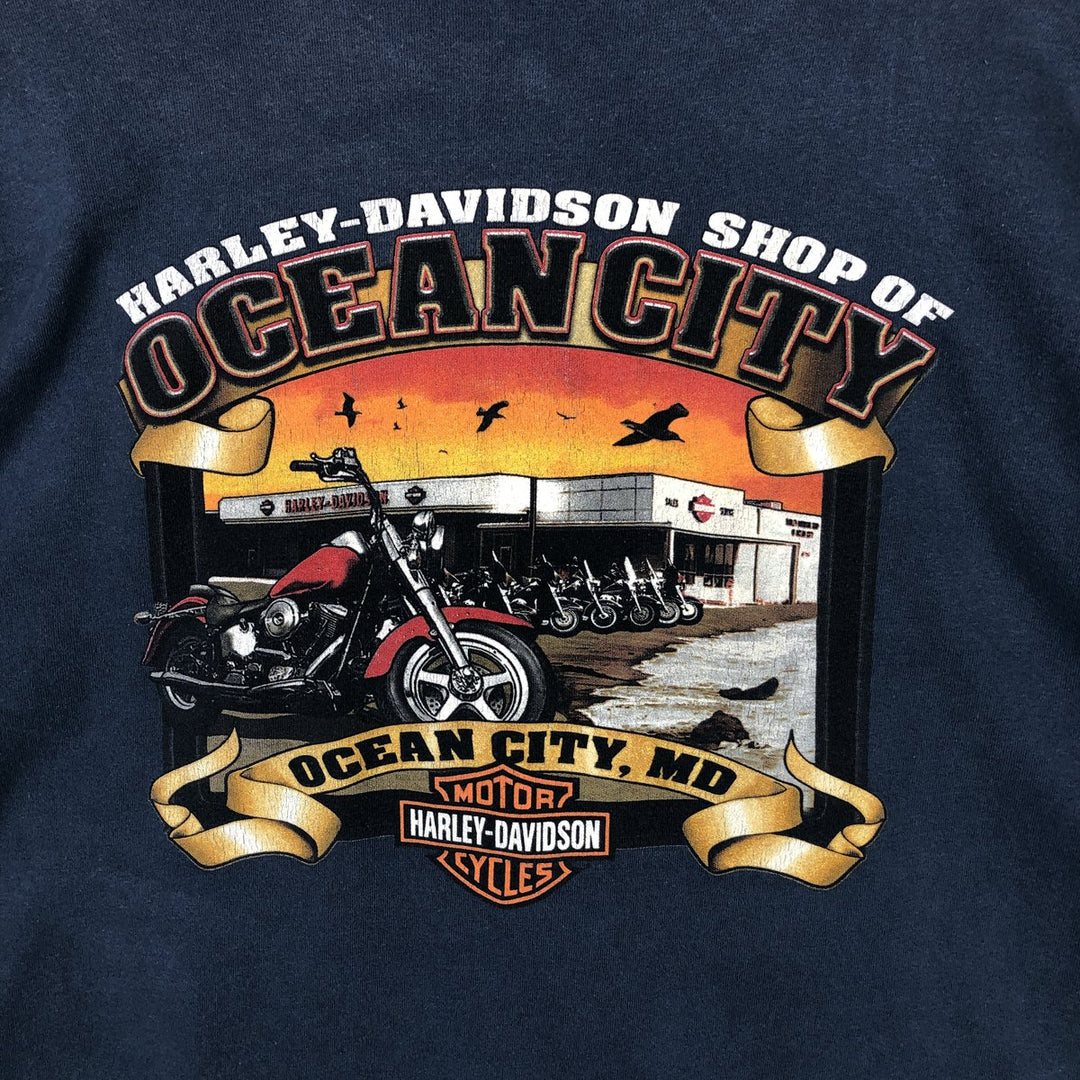 Harley-Davidson Skull Pattern Motorcycle Henley Neck Long-Sleeve T-Shirt (Men's XL equivalent) unclear blue type Vintage Second Hand