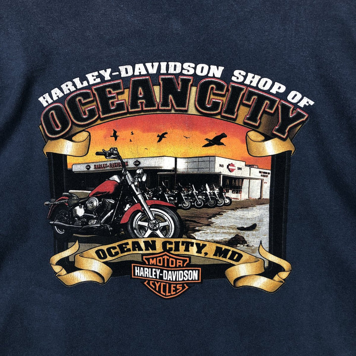 Harley-Davidson Skull Pattern Motorcycle Henley Neck Long-Sleeve T-Shirt (Men's XL equivalent) unclear blue type Vintage Second Hand