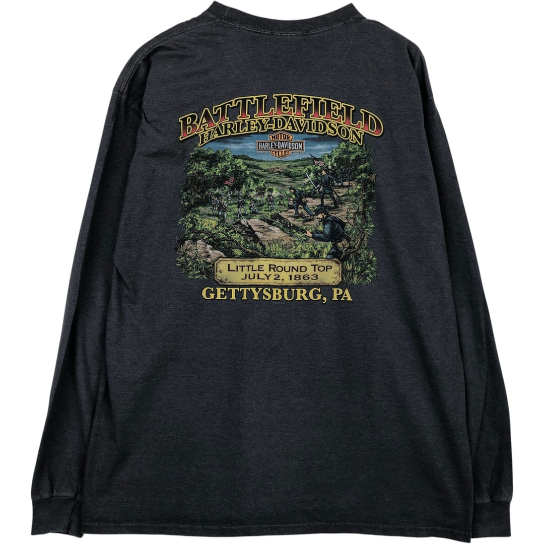 Harley-Davidson Long Sleeve T-Shirt, Men's XXL cotton gray type Vintage Second Hand