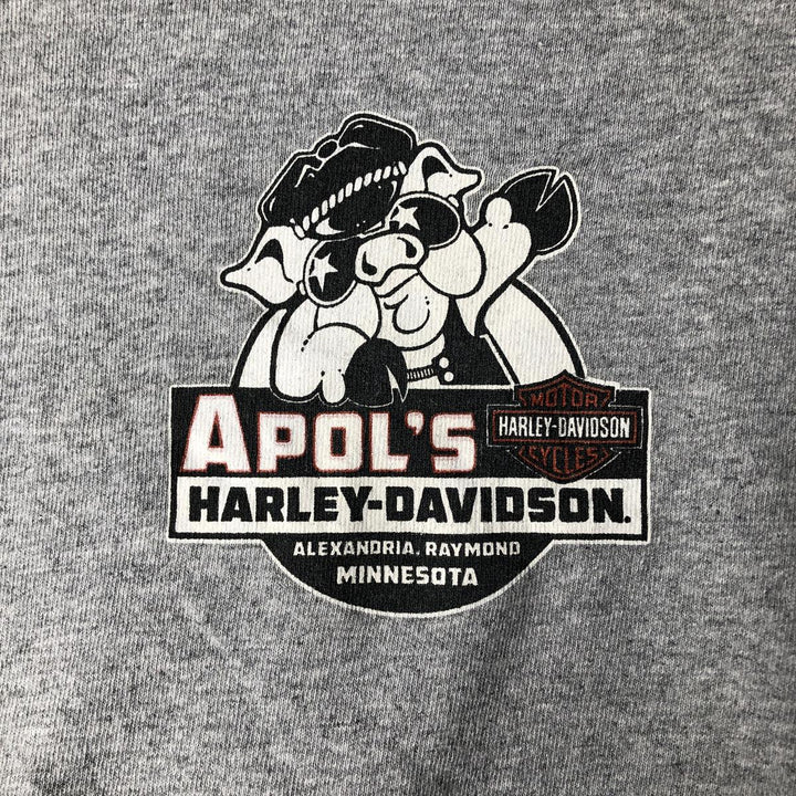 Harley-Davidson Motorcycle Long Sleeve T-Shirt, Men's Size L cotton gray type Vintage Second Hand