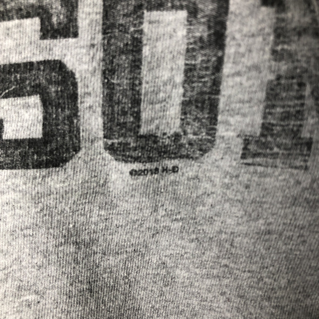 Harley-Davidson Motorcycle Long Sleeve T-Shirt, Men's Size L cotton gray type Vintage Second Hand