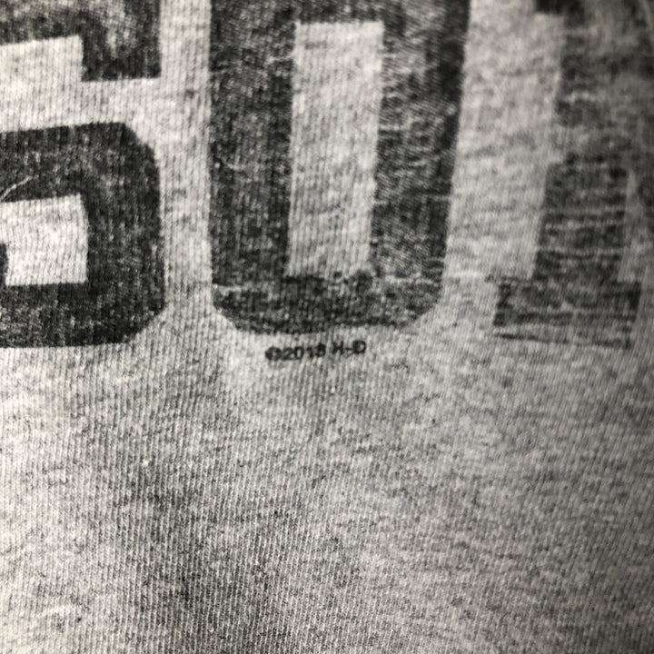 Harley-Davidson Motorcycle Long Sleeve T-Shirt, Men's Size L cotton gray type Vintage Second Hand